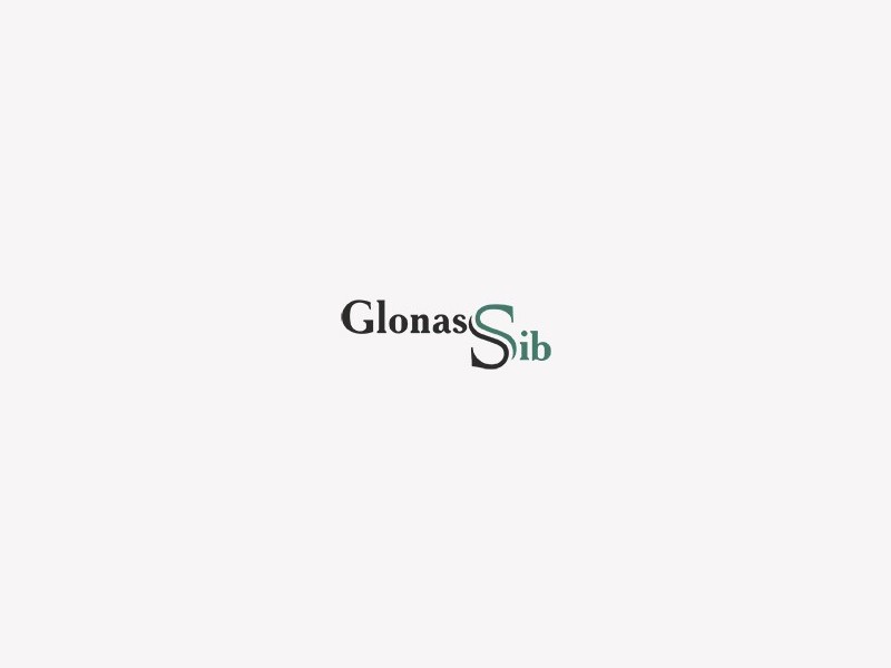 Сайт компании Глонасс Сиб в скором времени получит площадку на Lirso